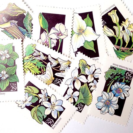 100 White and Green Flower Stamps Vintage Unused Postage Stamps for Invitations